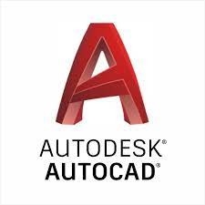 In stock Autodesk Autocad Account 1 anno di servizio personalizzabile
