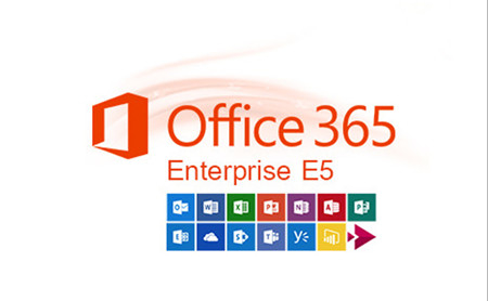 Licenza di abbonamento annuale di Office 365 Enterprise E5 Online Key