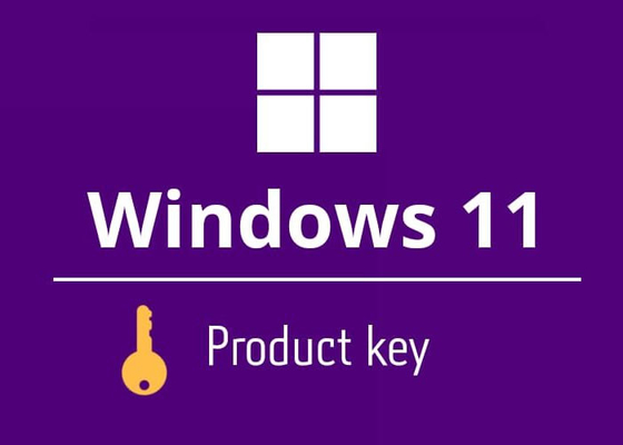 Consegna domestica del email di chiave del prodotto di  Windows 11 di lingua di Muliti