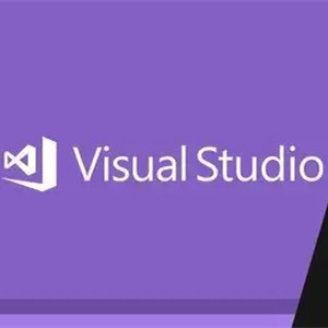 Prodotto 100% di codice di impresa di attivazione di chiave di attivazione di 20 GB Visual Studio 2019