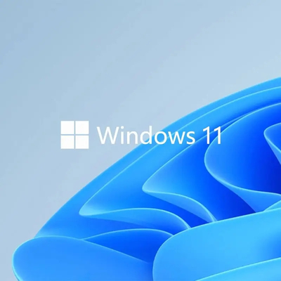 Internet Scdkey di chiave del prodotto di GB Microsoft Windows 11 di vita 64