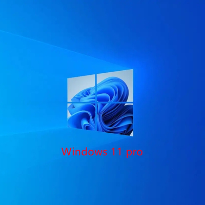 Aggiorna a Windows 11 Professional e porta il tuo lavoro al livello successivo