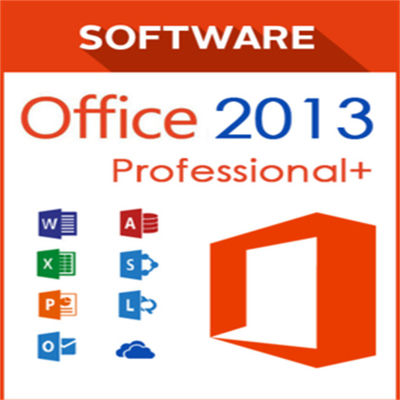 Utente pungente 2013 dell'attivatore 1 di chiave 64 più professionali globali del prodotto di  Office di DVD