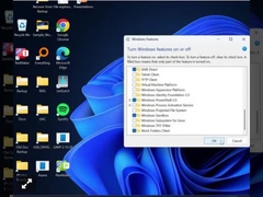 Chiave professionale di Windows 11