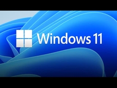Windows 10/11 Professional Product Key 1 PC Licenza al dettaglio