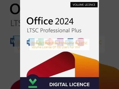 Licenza Volume LTSC di Office 2024 Professional Plus per 100 utenti per Win (Globale)
